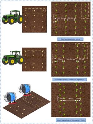 Development of high-speed precision maize metering device for dense planting pattern with standard ridges